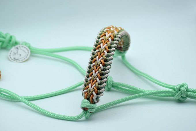 Licol Arménia