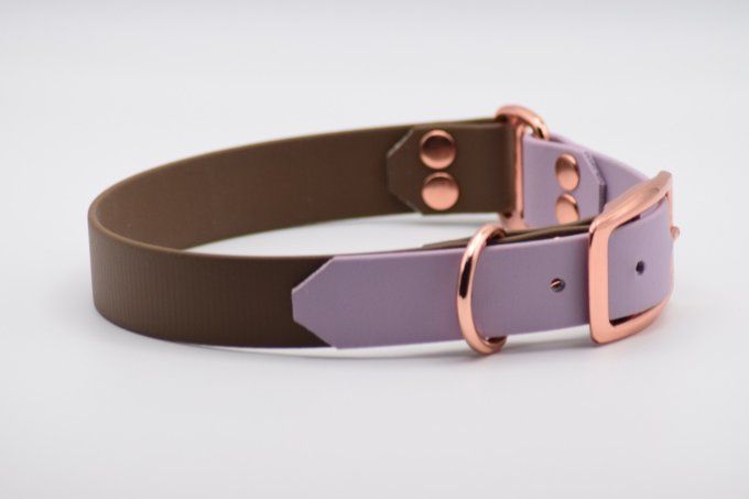 Collier Céleste