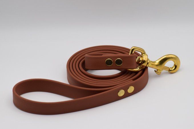 Ensemble Taïwa Camel