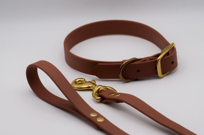 Ensemble Taïwa Camel