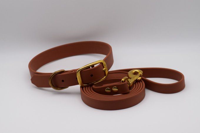 Ensemble Taïwa Camel
