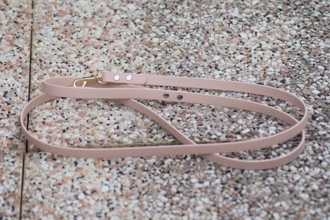 Laisse biothane 13mm