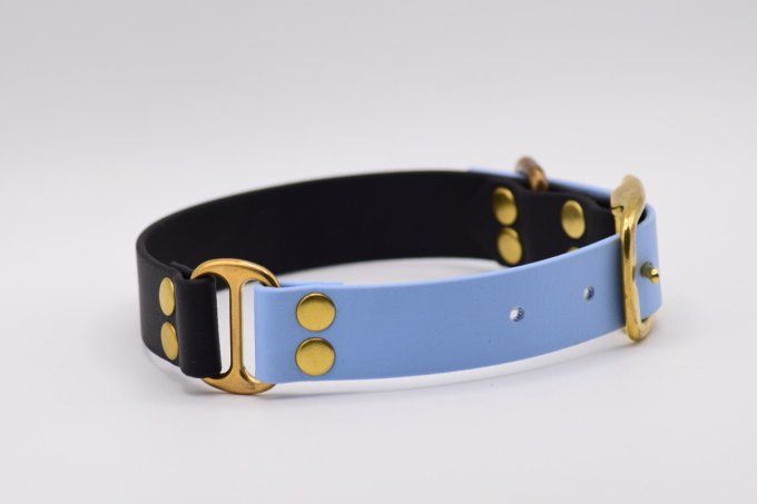 Collier Céleste