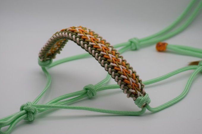Licol Arménia