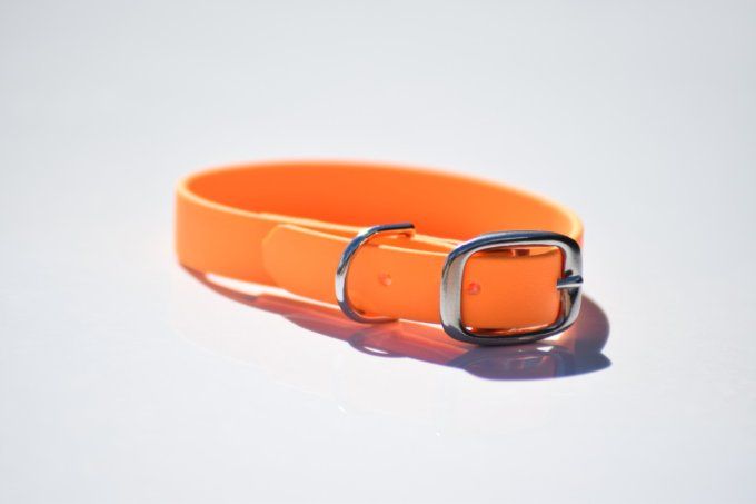 Collier biothane Summer