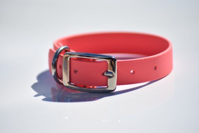 Collier biothane Summer