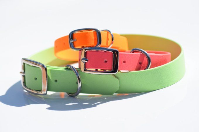 Collier biothane Summer