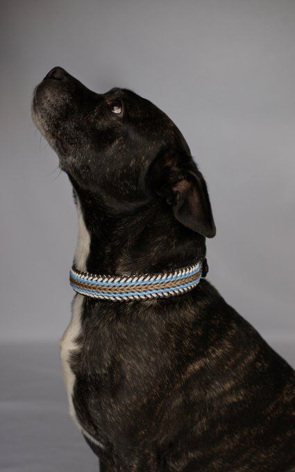 Collier Milano