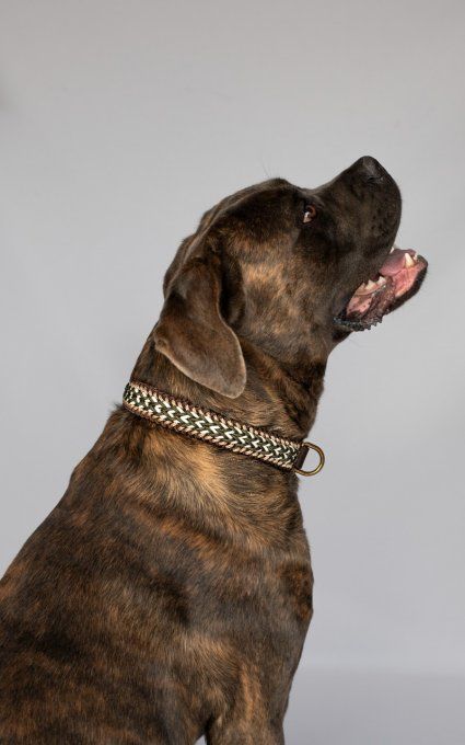 Collier Twixt